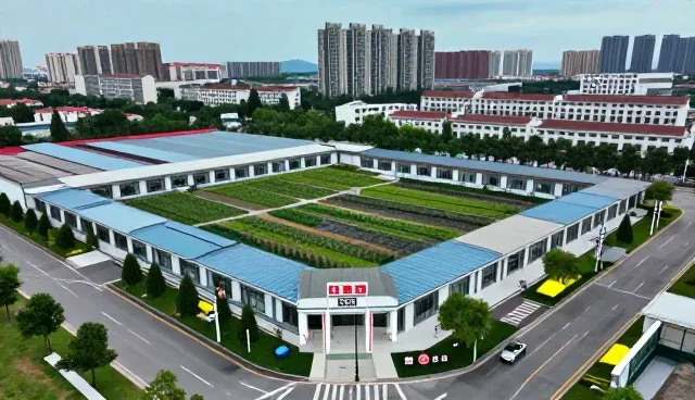 成果转化业务中的技术适配与流程优化建议
